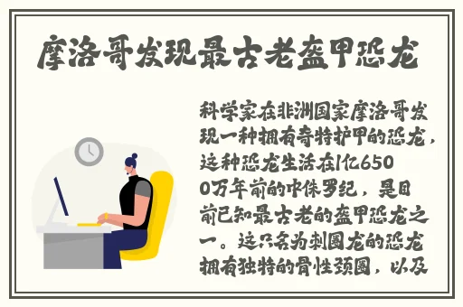 办公室强肝的播出时间